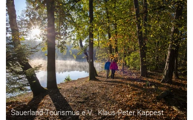 Zwei Personen spazieren im Herbst am nebligen Ufer des Möhnesees zwischen Bäumen.