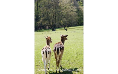 Wildpark Völlinghausen
