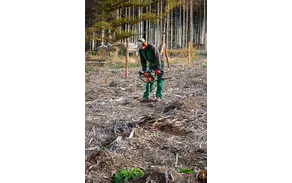 Bürgerwald (9).jpg