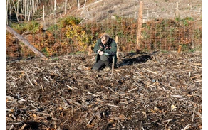 Bürgerwald_ (3).jpg