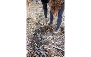 Bürgerwald (10).jpg