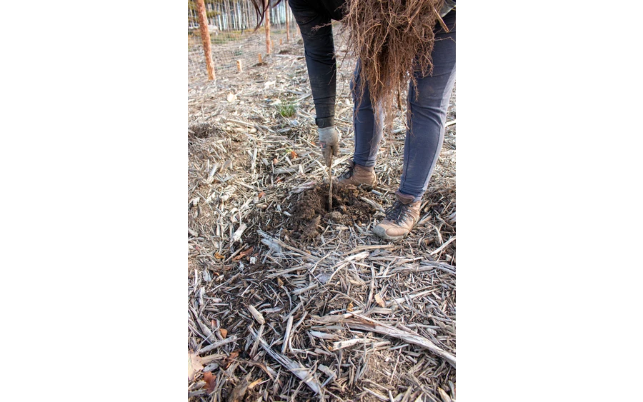 Bürgerwald (10).jpg