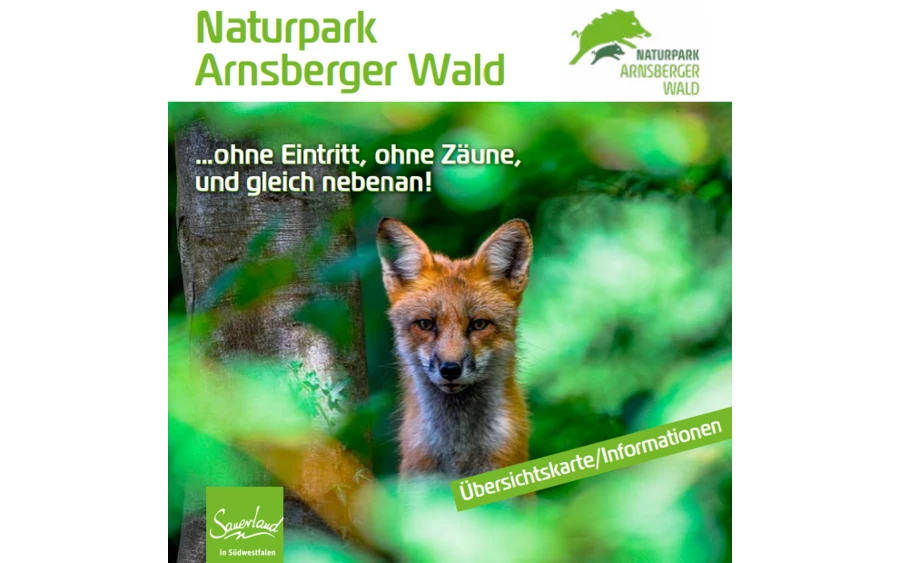 Arnsberger Wald Titelbild.PNG