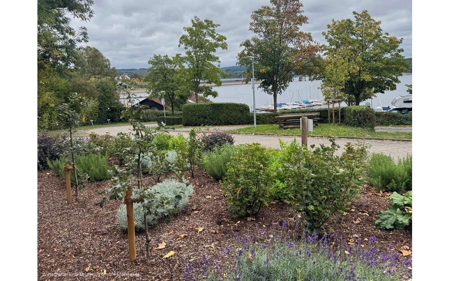 Kräutergarten klein.png