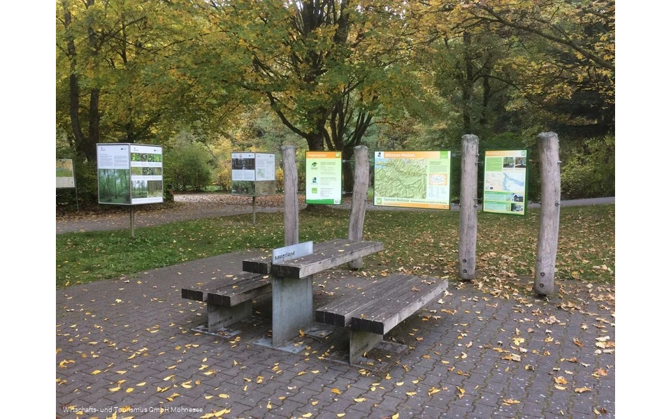 Tor zur Waldroute Neuhaus