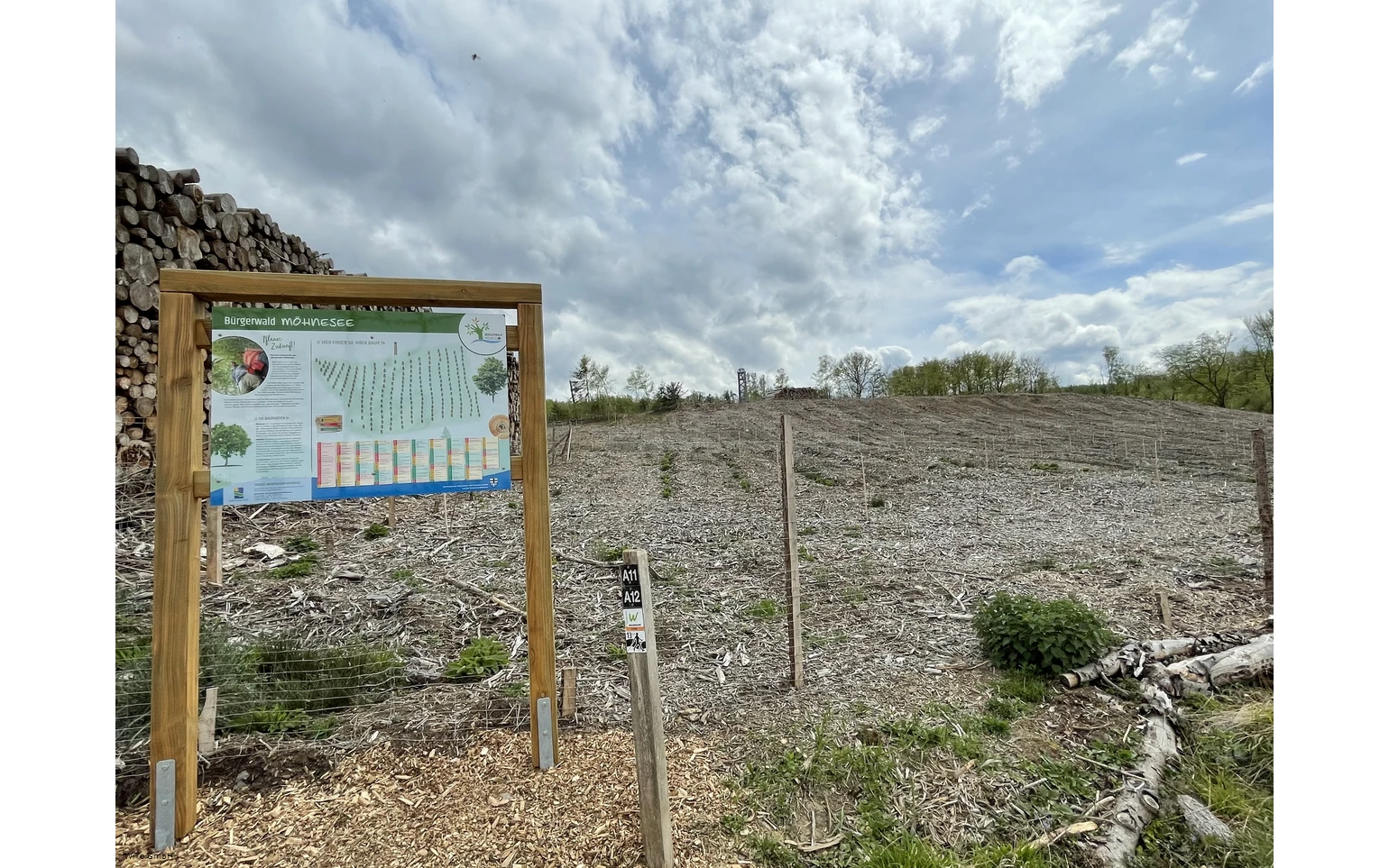 Bürgerwald_Infoschild2020.JPG