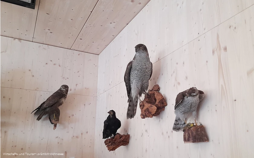 Wildparkhaus Wildpark Völlinghausen