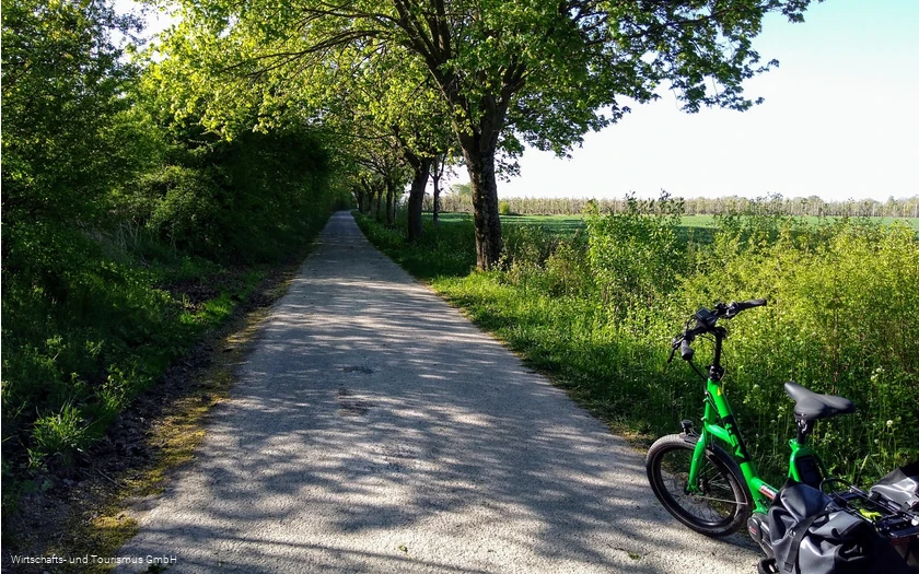 Alter Soestweg mit Obstplantagen