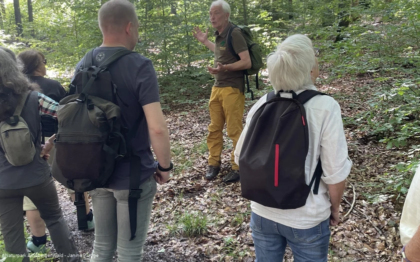 Naturparkführung im Arnsberger Wald