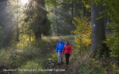 Auf der Sauerland-Waldroute am Möhnesee