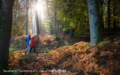 Zwei Wanderer unterwegs auf der Sauerland-Waldroute