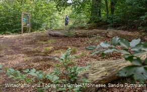 Tafel Wald Erlebnispfad Möhnesee-Südufer