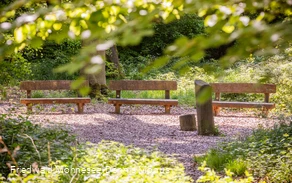 FriedWald Möhnesee_Andachtsplatz_Dennis Möbus.jpg