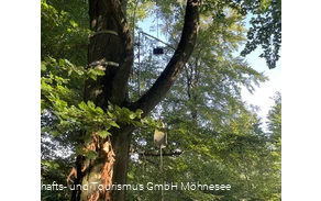 Baumharfe Klangwald Möhnesee