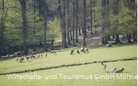 Wildpark Völlinghausen