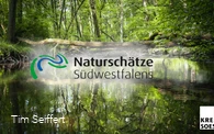 Naturschätze Südwestfalen_Foto (c) Tim Seiffert.jpeg