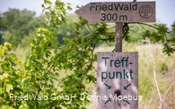 Beschilderung Friedwald