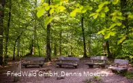 Andachtsplatz Friedwald
