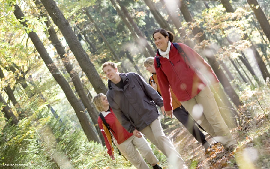 Gruppe im Wald