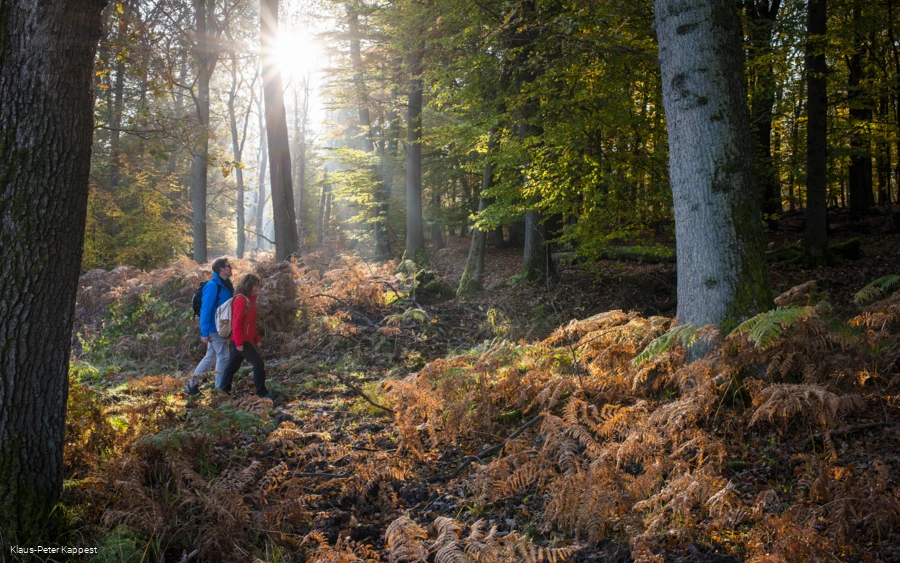 Wandern KPK.png