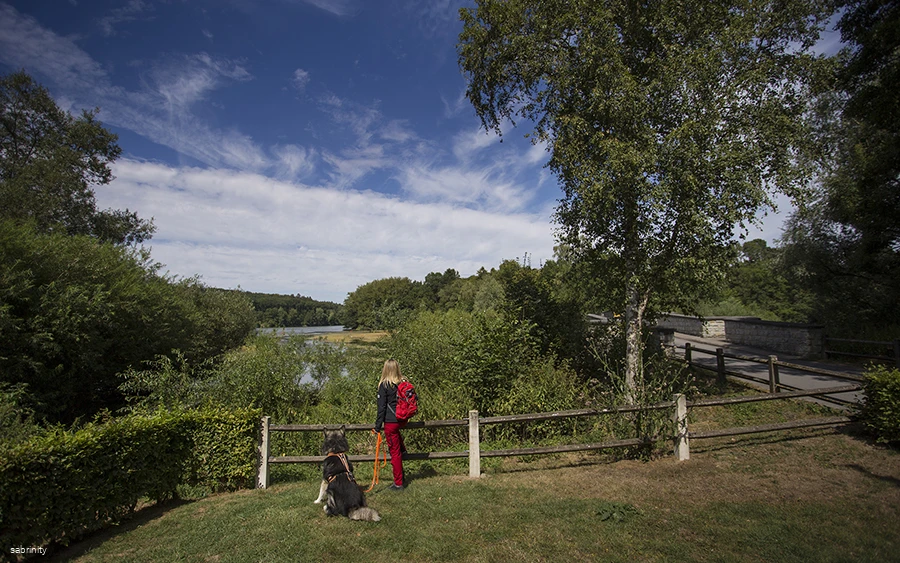 Wandern mit Hund Möhnesee Kanzelbrücke (4).jpg Person mit Hund steht an einem Zaun und blickt auf den Möhnesee in einer grünen Landschaft.
