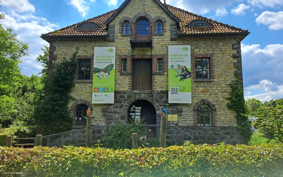 Liz (c) Liz Möhnesee.jpg Liz (c) Liz Möhnesee.jpg