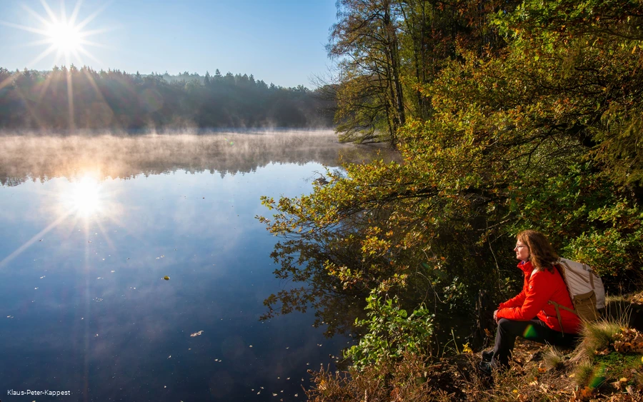 Der Möhnesee an der Sauerland-Waldroute