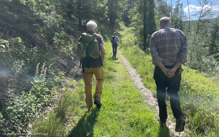 Naturparke24 -2024- Waldroute Warsteiner Brauerei (c) Janine Plugge  (20).jpeg