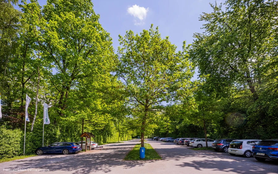 Parkplatz Friedwald