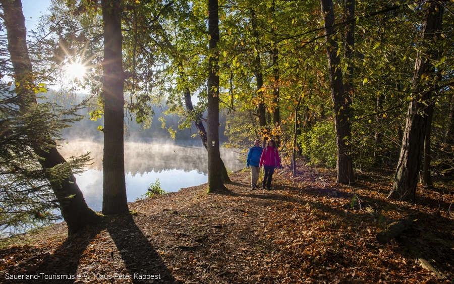 Zwei Personen spazieren im Herbst am nebligen Ufer des Möhnesees zwischen Bäumen.