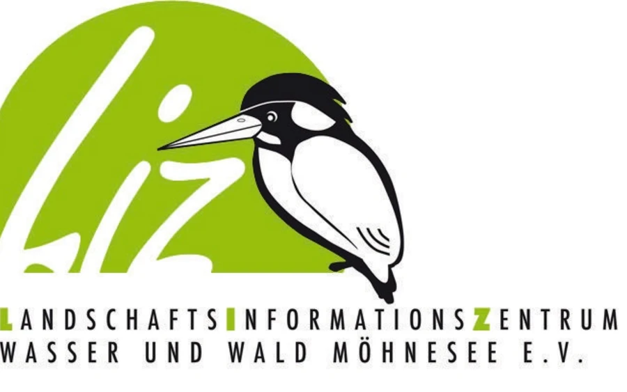 Liz Logo