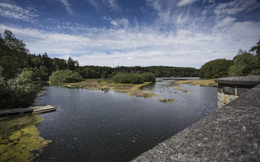 Blick von der Kanzelbrücke auf den ruhige Möhnesee mit Sandbänken und Bäumen