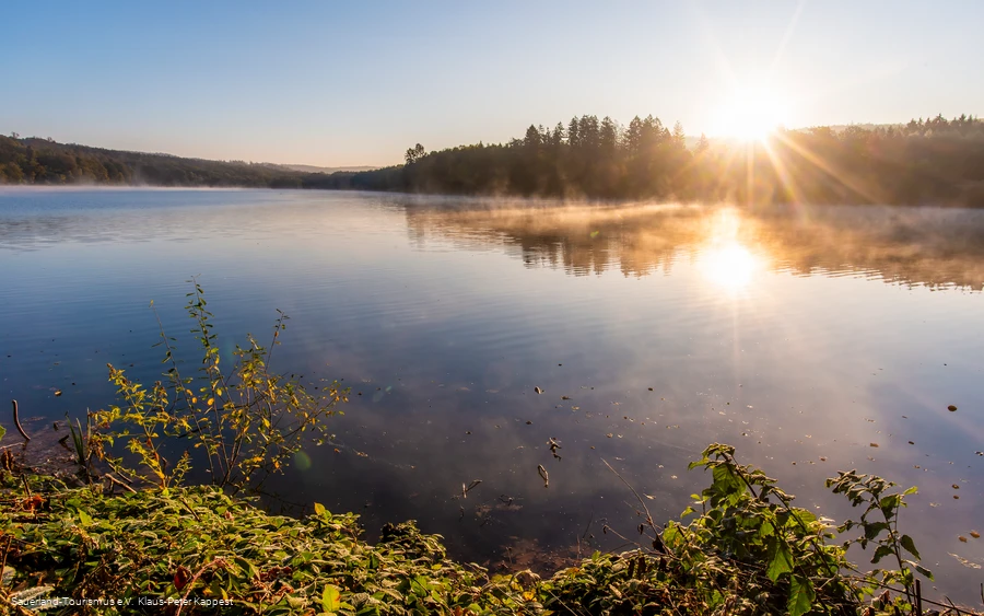 Nebliger Sonnenaufgang über dem ruhigen Möhnesee mit herbstlicher Ufervegetation.