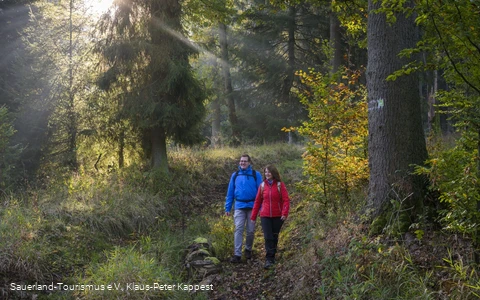 Auf der Sauerland-Waldroute am Möhnesee