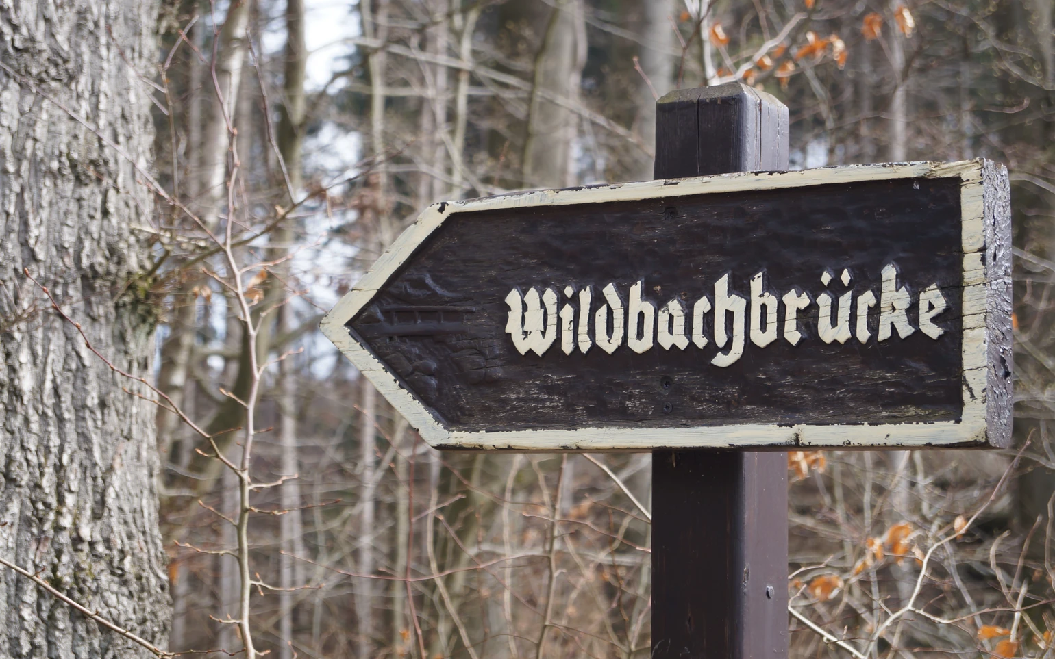 Erlebnisbrücke Möhneseeturm (1).JPG