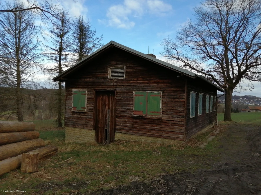 Einfaches Holzblockhaus mit gr&uuml;nen Fensterl&auml;den in l&auml;ndlicher Umgebung
