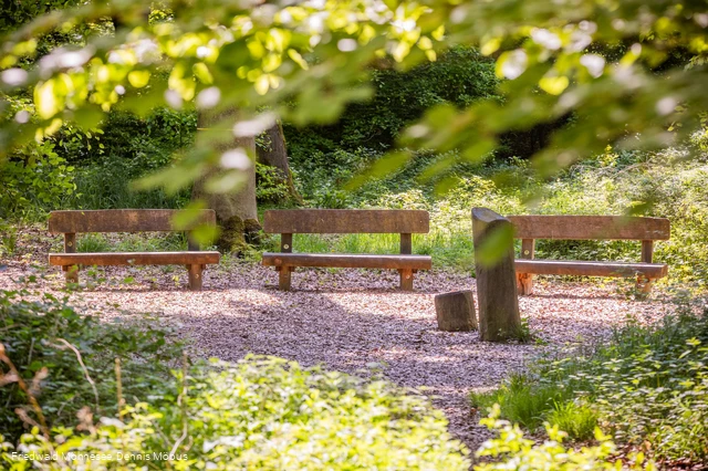 FriedWald Möhnesee_Andachtsplatz_Dennis Möbus.jpg