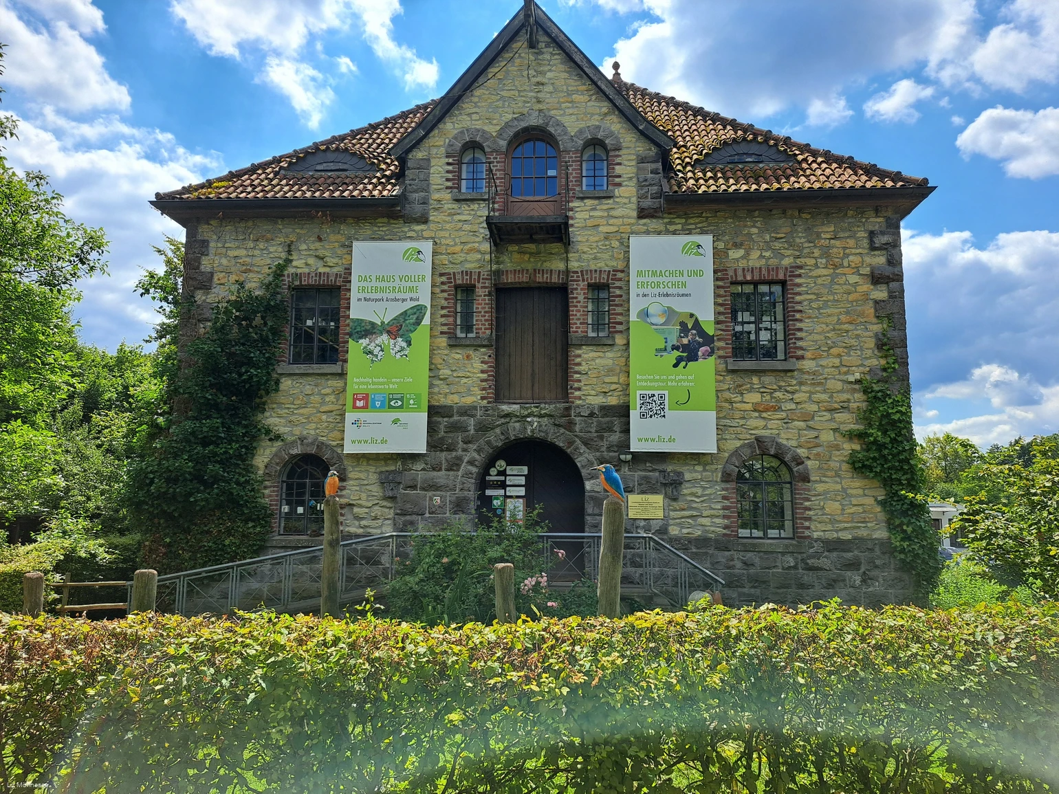 Liz (c) Liz Möhnesee.jpg