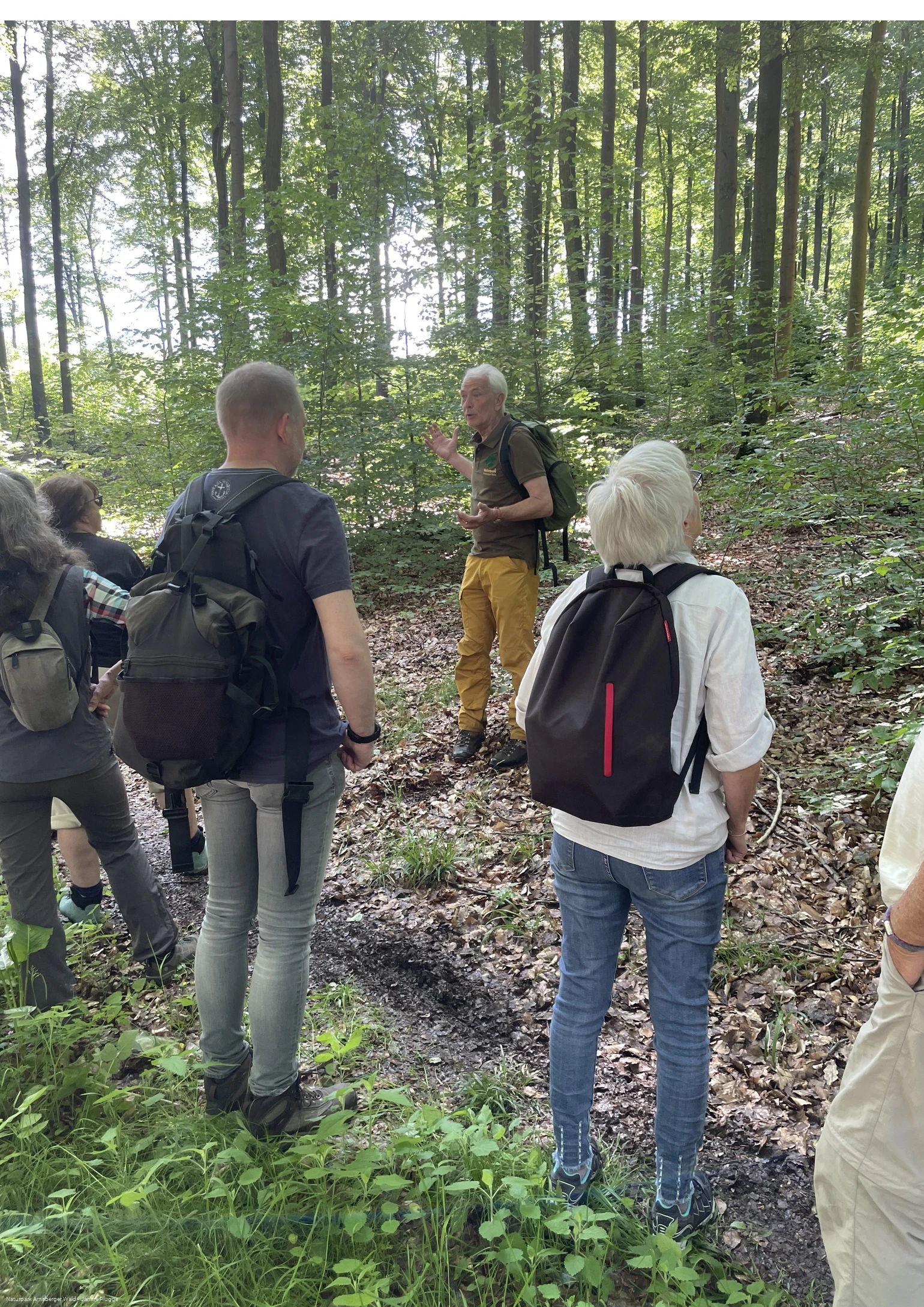 Naturparkführung im Arnsberger Wald