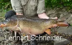 Großer Fisch