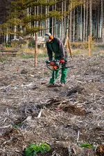 Bürgerwald (9).jpg