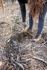 Bürgerwald (10).jpg