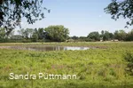 Naturschutzgebiet Woeste bei Bad Sassendorf