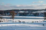 IMG_4769.jpg