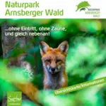 Arnsberger Wald Titelbild.PNG