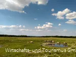 Wildpferde Naturschutzgebiet Kleiberg