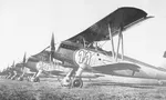 FLugplatz Günne-Brüningsen 01.jpg
