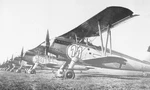 FLugplatz Günne-Brüningsen 01.jpg