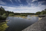 Natur Kanzelbrücke Möhnesee (6).jpg
