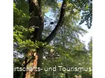 Baumharfe Klangwald Möhnesee